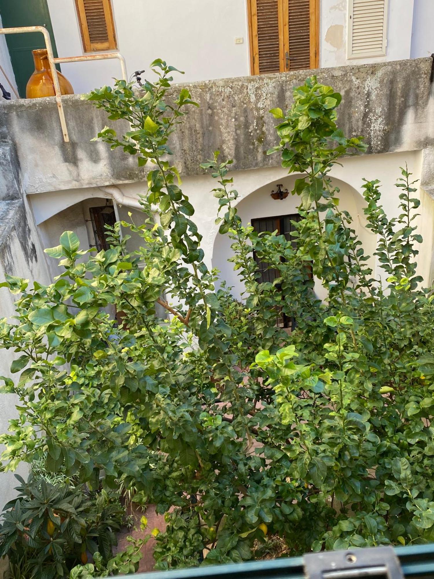 Casetta Zia Tetti Λέτσε Εξωτερικό φωτογραφία